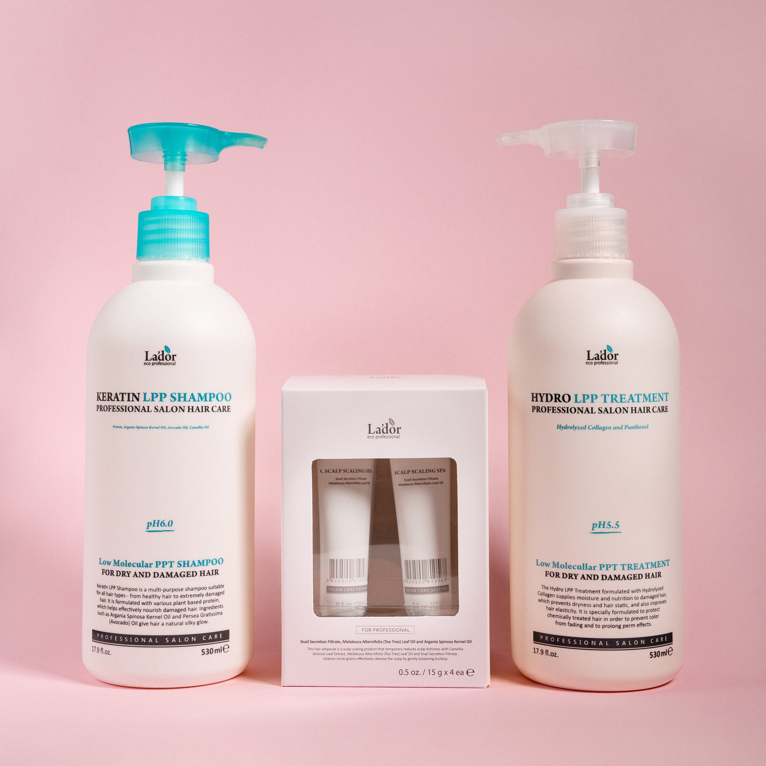 Kit for Oily Scalp